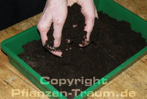 Подготовка почвы
