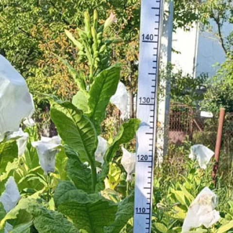 Название R 1349_k