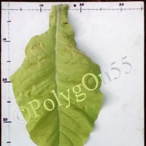 GL 737 лист третьей ломки